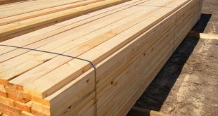انخفاض واردات الصين من الخشب اللين المنشور إلى 9.66 مليون متر مكعب بانخفاض 24٪