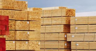 زادت صادرات الخشب اللين الأوروبي إلى الولايات المتحدة بنسبة 39٪