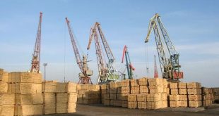 توقعات بسماح أوكرانيا بتصدير الأخشاب بحلول أواخر عام 2021
