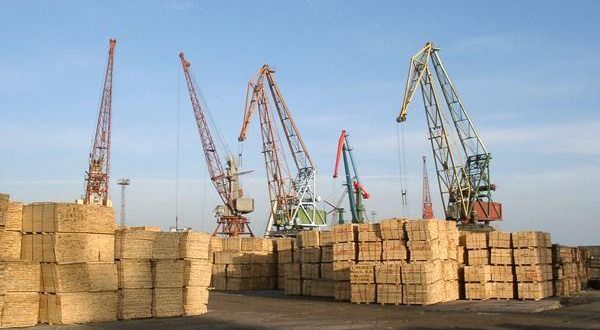 توقعات بسماح أوكرانيا بتصدير الأخشاب بحلول أواخر عام 2021