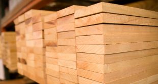 من المتوقع أن يضرب انخفاض أسعار الأخشاب الأمريكية أوروبا قريبًا