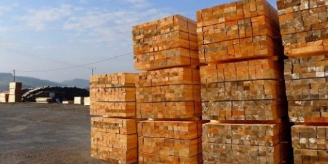 تلعب صناعة الأخشاب الفرنسية دورًا محوريًا في خطط تحقيق الأهداف المناخية