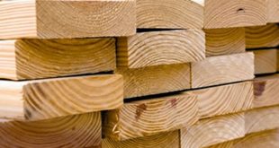 استقرت أسعار معظم الأخشاب اللينة في أمريكا الشمالية بعد أسابيع من النمو