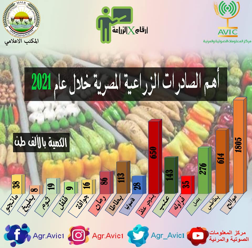 تقرير: بلغت صادرات مصر الزراعية ٥.٦ مليون طن خلال عام 2021