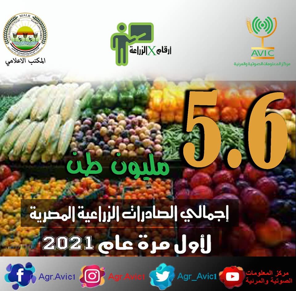 تقرير: بلغت صادرات مصر الزراعية ٥.٦ مليون طن خلال عام 2021