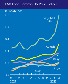 تقرير الفاو: ارتفاعات جديدة في أسعار المواد الغذائية
