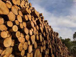 إرتفاع أسعار الأخشاب في بريطانيا