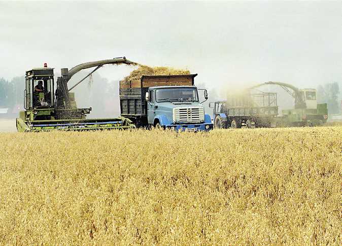 تراجع صادرات الحبوب الأوكرانية