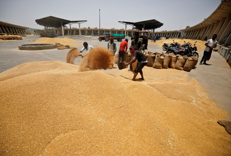 الإمارات : حظر تصدير القمح الهندي