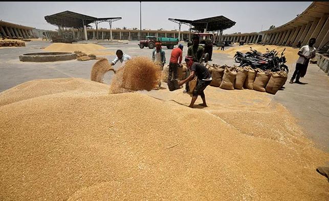 حظر تصدير دقيق القمح الهندي