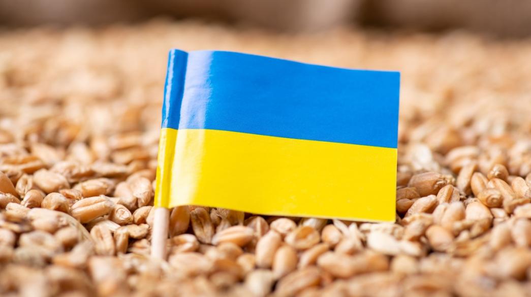 استئناف صادرات الحبوب الأوكرانية
