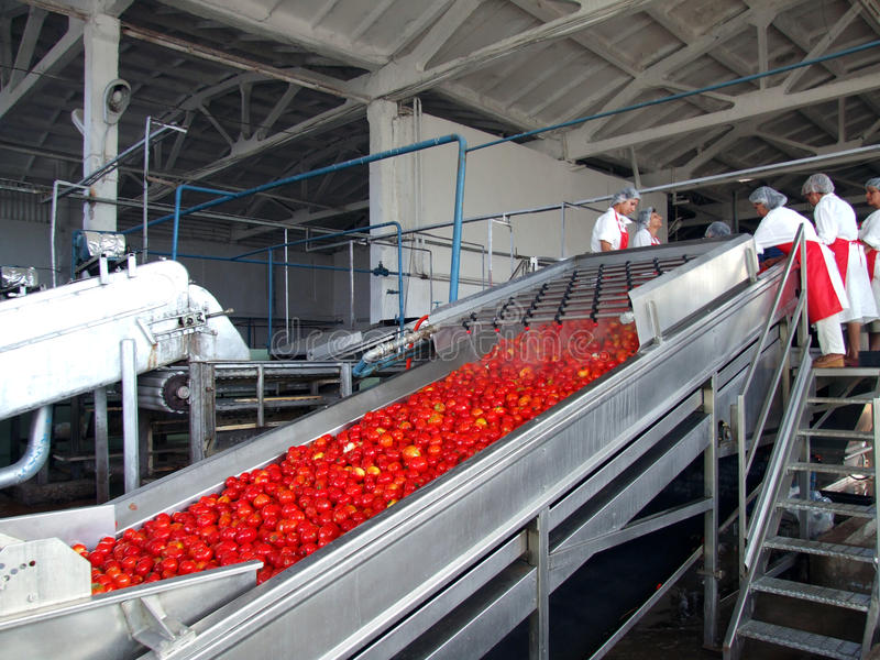 تصدير الصلصة ومعجون الطماطم
