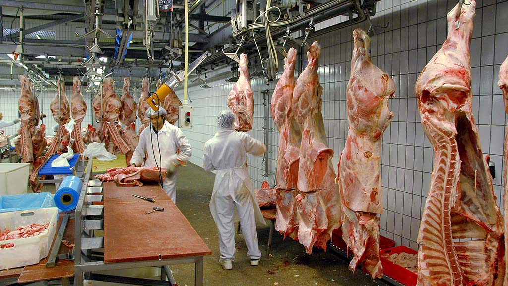 أكبر شركات اللحوم الأسترالية