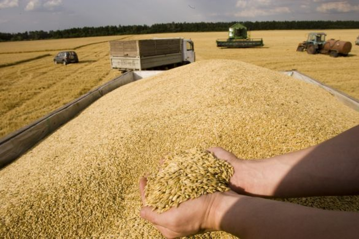 خطة لتصدير الحبوب الأوكرانية