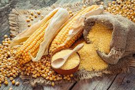 تقرير الأسبوع: أسعار المواد الغذائية والمحاصيل في الأسواق العالمية