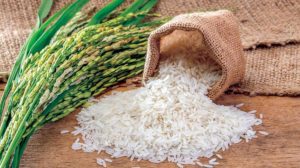 احتياطيات مصر من القمح تكفي استهلاك أكثر من 5 أشهر