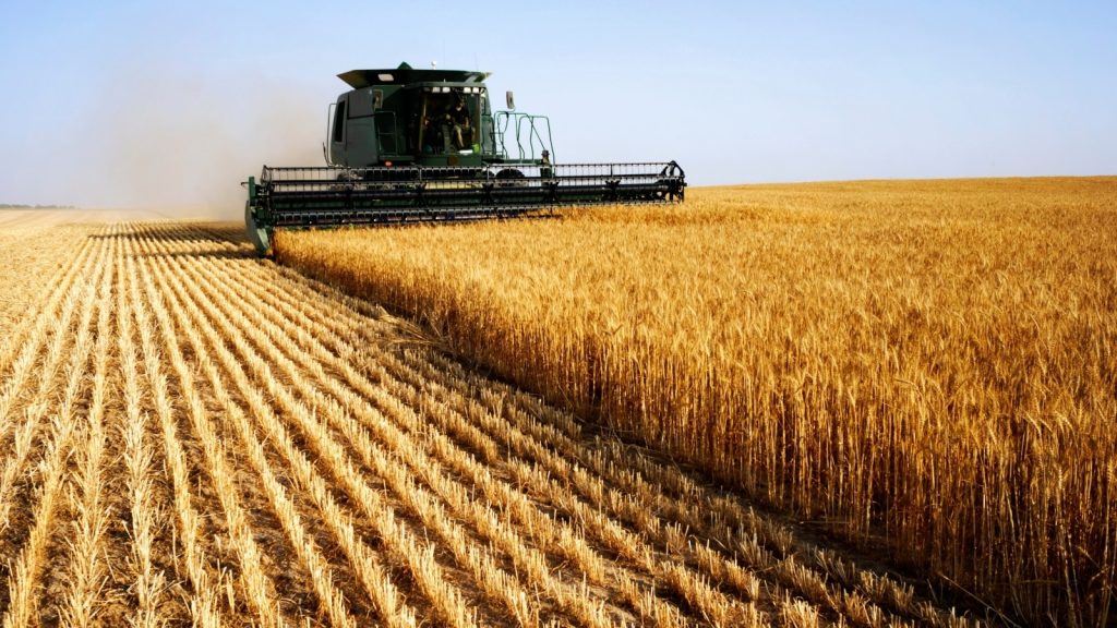 خطة أوكرانيا لتصدير الحبوب