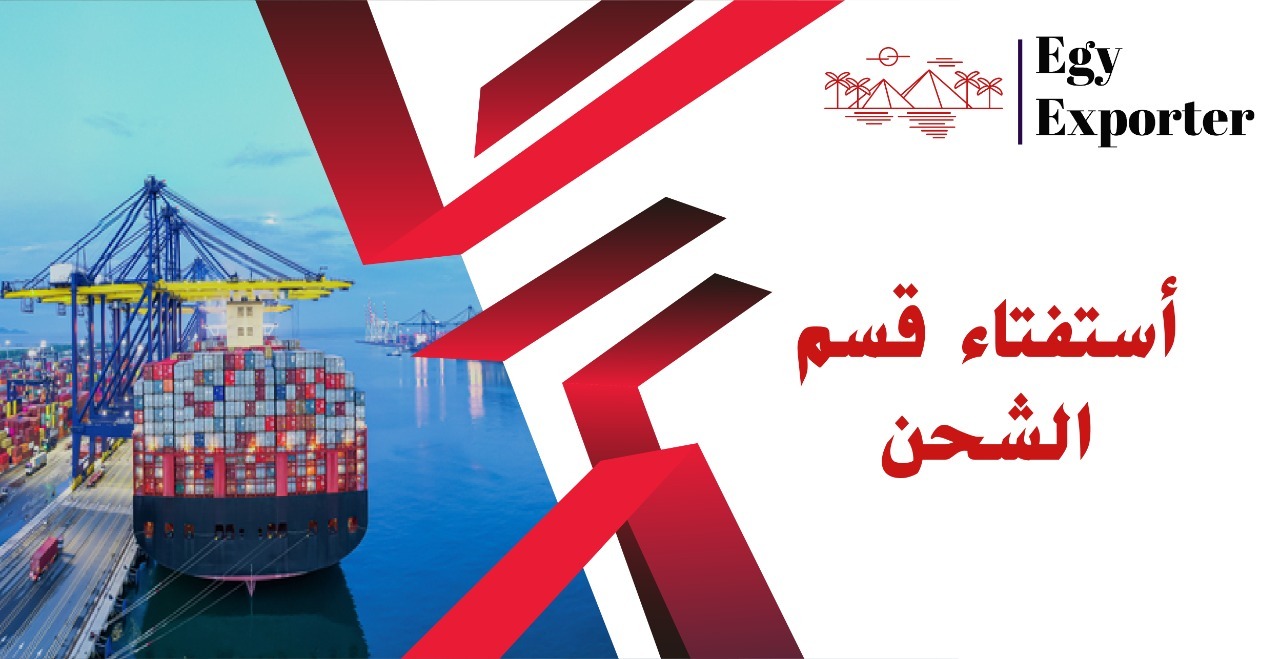أكبر سفينة لبضائع «الرورو» ترسو بميناء الإسكندرية