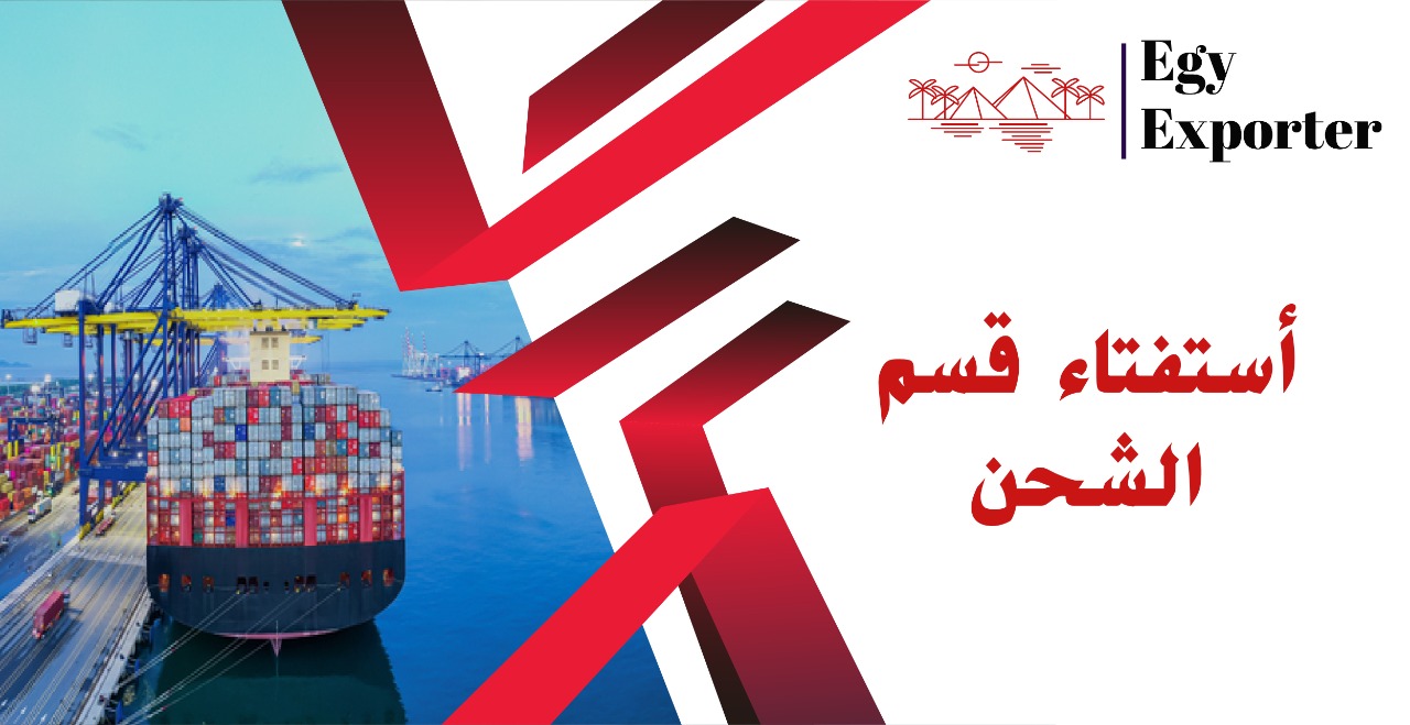 بالارقام: ننشر حركة الصادر والواراد والبضائع بميناء دمياط