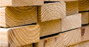 انتعاش أسعار الأخشاب السويدية: ارتفاع متوقع في الخريف وسط مخاطر وتحديات جديدة