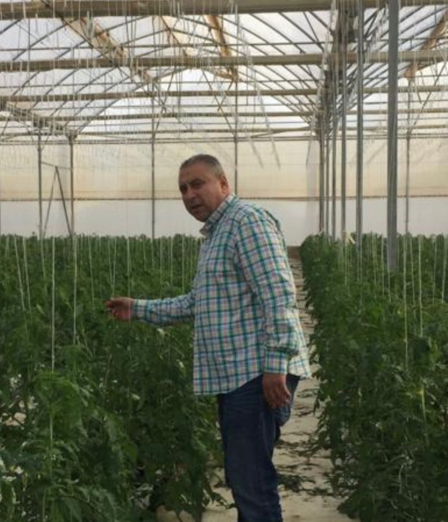 إيجي إكسبورتر تكشف عن مستقبل واعد لصادرات الطماطم في 2023