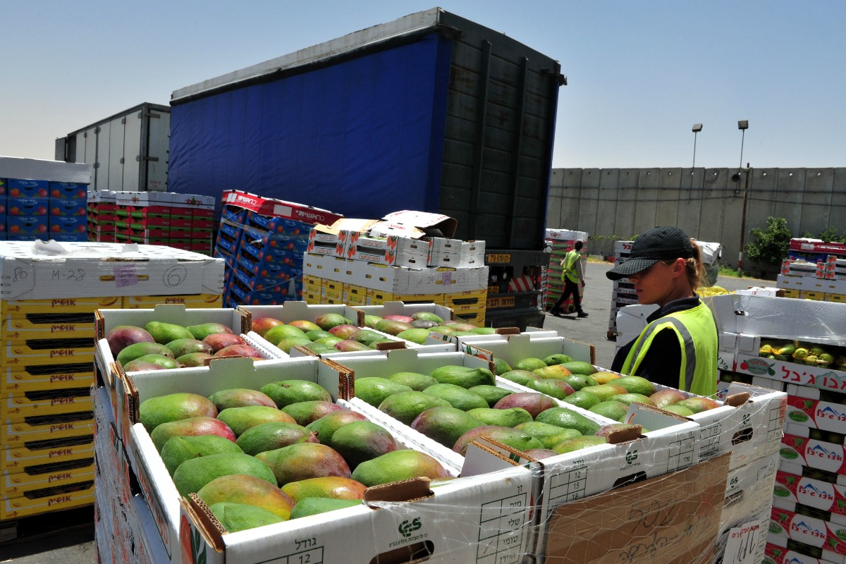 مصر تواصل تحفيز الصادرات الغذائية