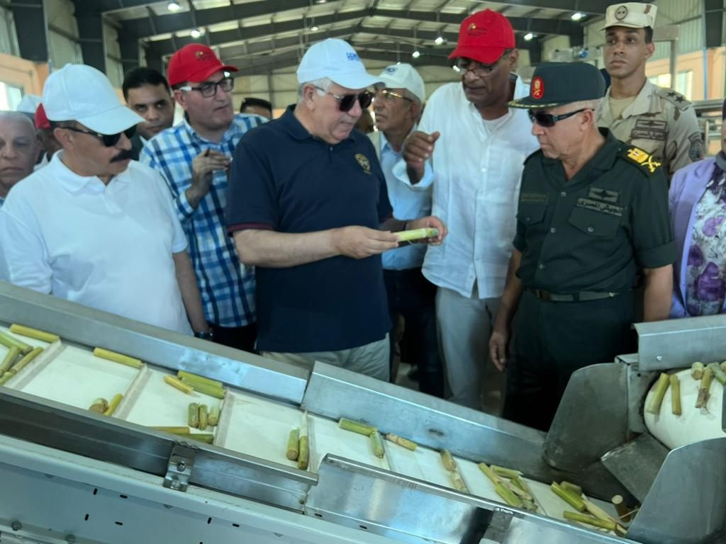 مصر.. أول محطة لإنتاج شتلات قصب السكر لزيادة الصادرات