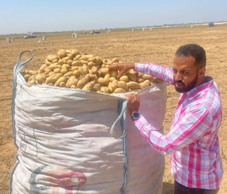 الزراعة: ارتفاع حجم تصدير الأف الأطنان من البطاطس لدول الاتحاد الاوروبي