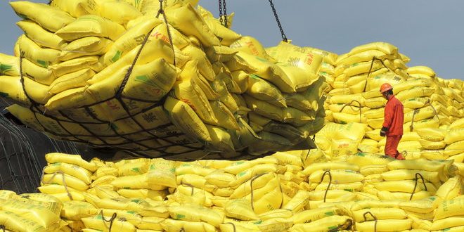قيود جديدة على صادرات الأرز