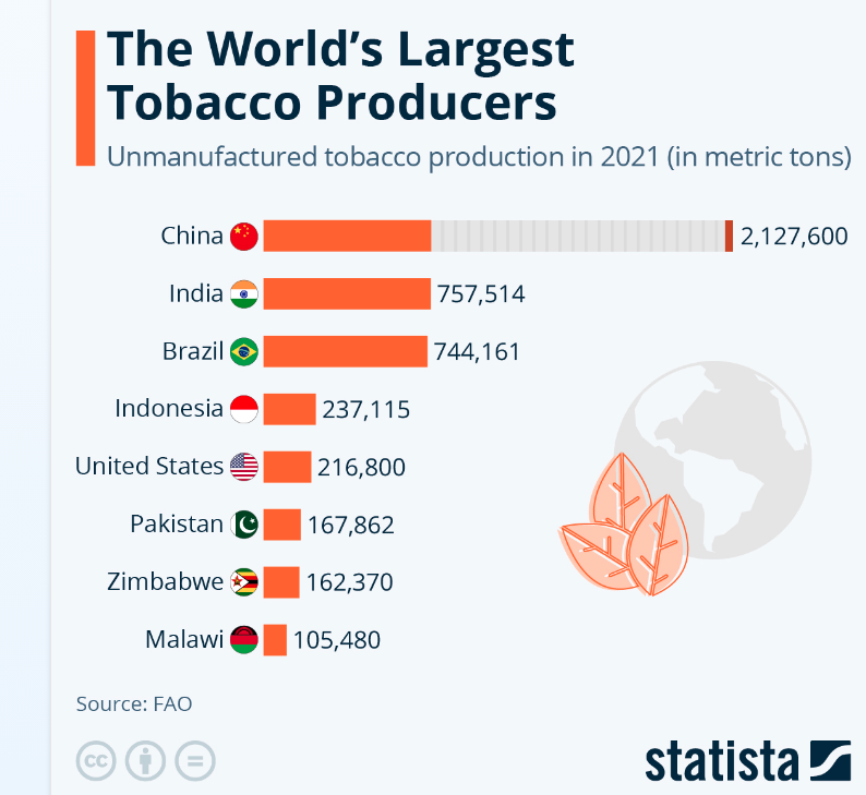  زراعة التبغ في العالم