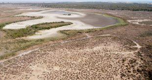 الجفاف يضرب بحيرة santa-olalla