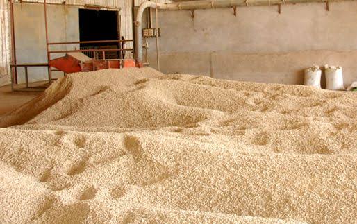 وزير الزراعة: الإفراج عن الأف الأطنان من اعلاف الذرة والصويا