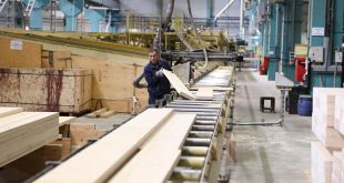 زيادة إنتاج صناعة الأثاث والمُنتجات الخشبية في روسيا