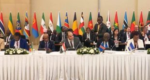 مصر وتركيا تتعاونان لتنمية اقتصاد أفريقيا