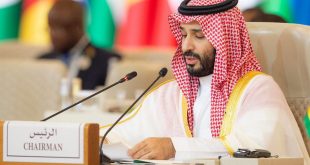 السعودية تفتح الباب أمام الاستثمارات والتنمية في أفريقيا