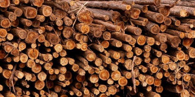 صناعة الأخشاب الألمانية تواجه تحديات كبيرة