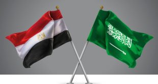 مصر والسعودية تدرسان استخدام العملات المحلية