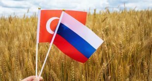 تركيا وروسيا تتعاونان لإمداد الدول الأفريقية بالحبوب