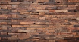 انخفضت أسعار الخشب خلال أربعة أسابيع فقط في أمريكا الشمالية 