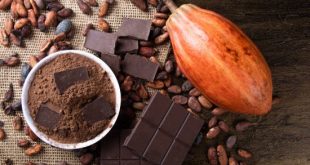 رحلة حبة الكاكاو: رحلة مُرة تهدد مستقبل الشوكولاتة