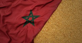 المغرب يواجه أسوأ موسم حبوب منذ 17 عاما