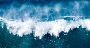 المحيطات: كواكب زرقاء نابضة بالحياة وكنوز اقتصادية لا تقدر بثمن