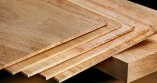 انهيار أسعار الخشب: ما وراء الانحدار المفاجئ